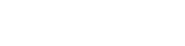 NAPRE white logo